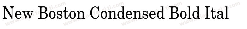 New Boston Condensed Bold Italic字体转换